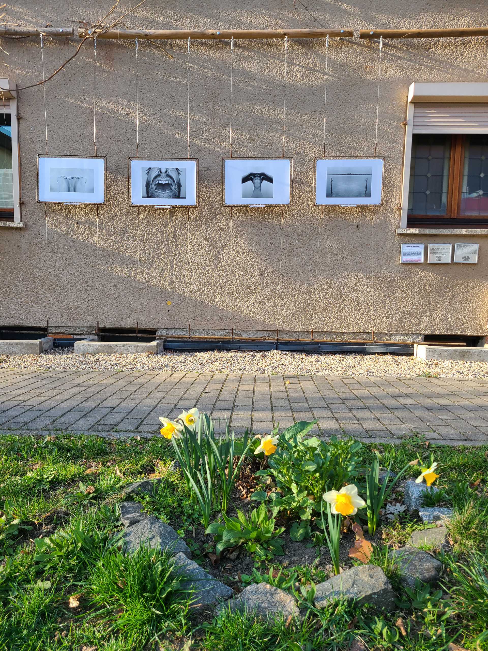 Neue Ausstellung: Formen der Selbstironie