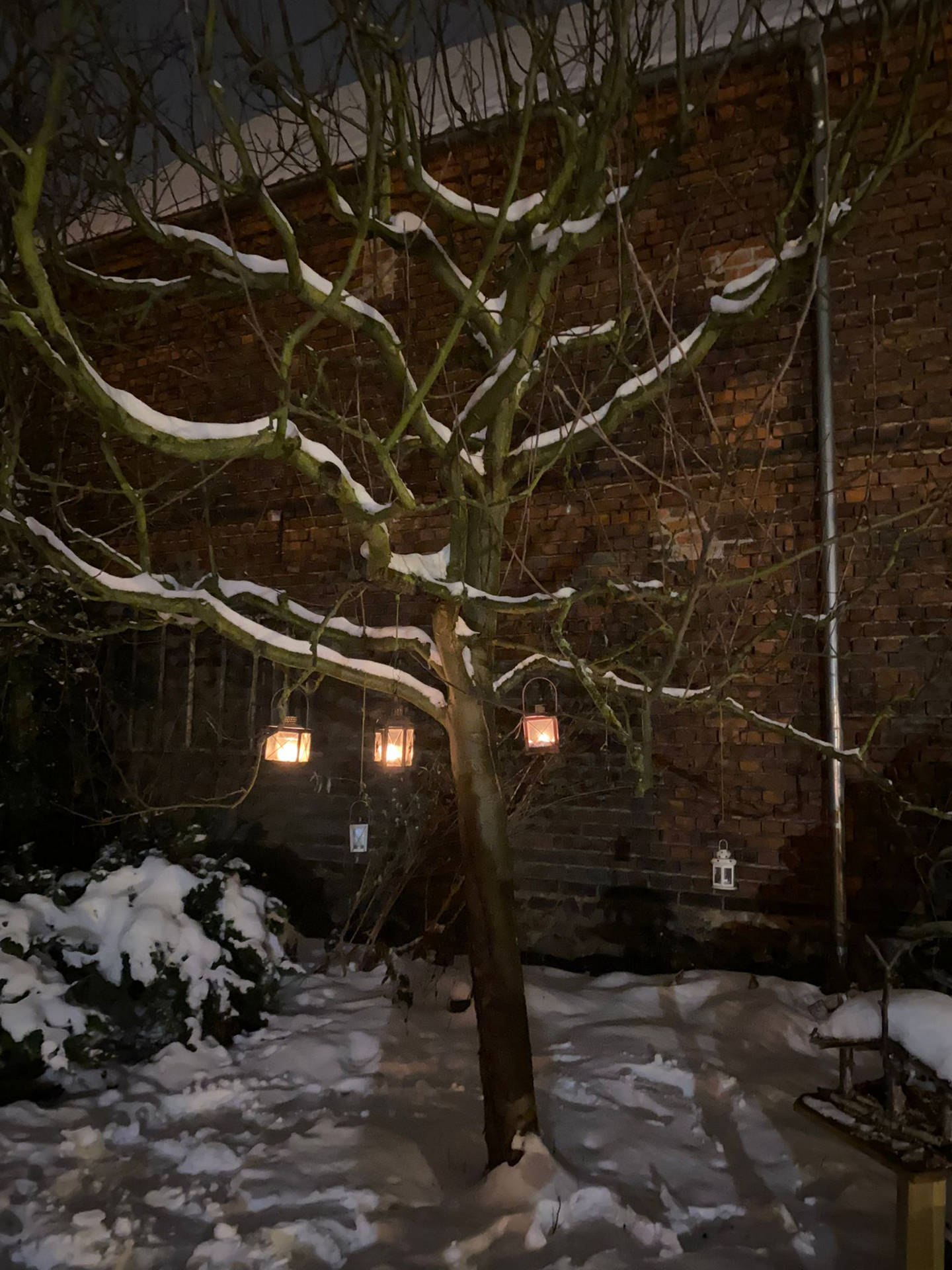 Finissage und neue Ausstellung Februar