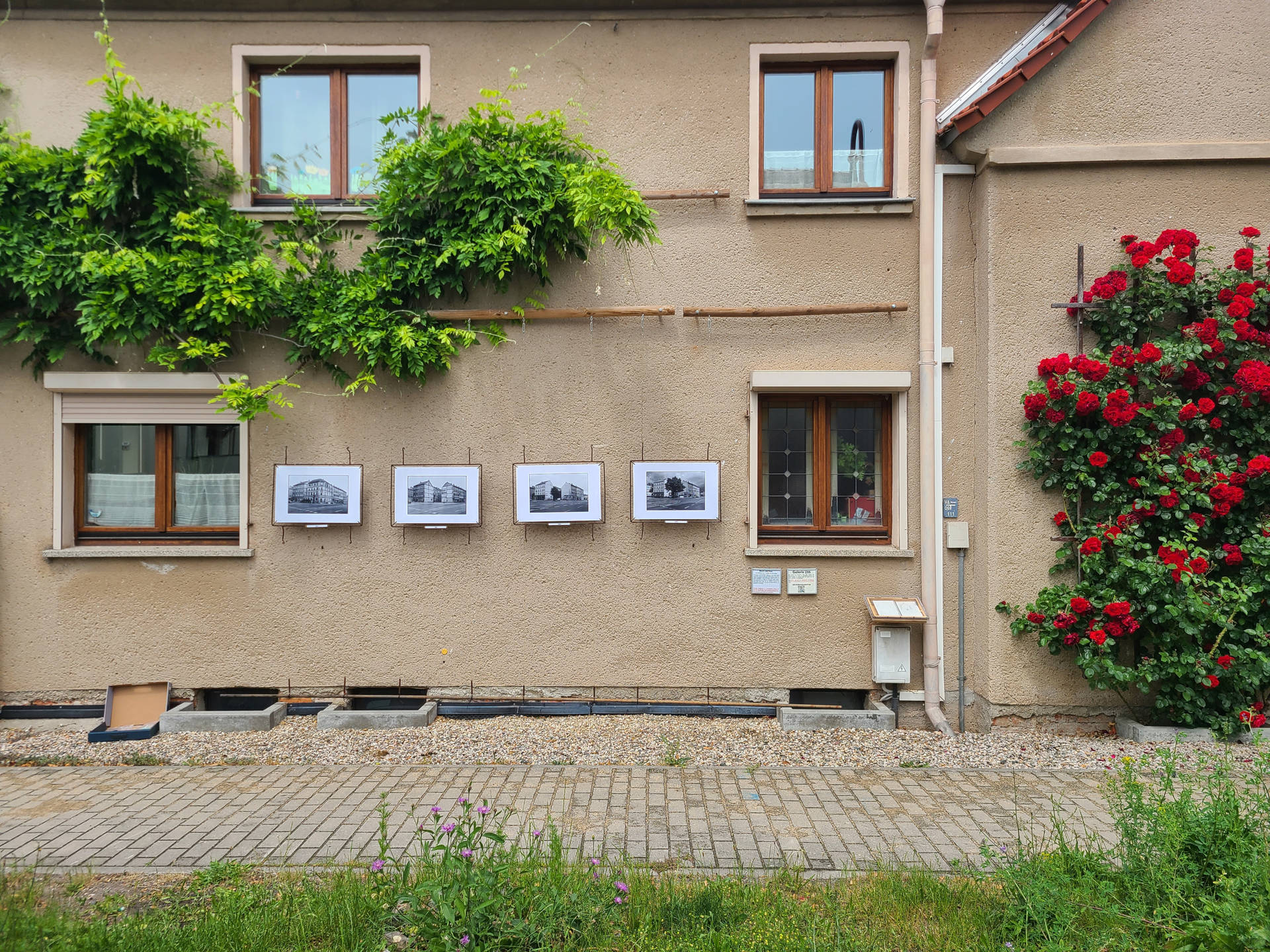 Ausstellung Juni 2026: Baum und Haus